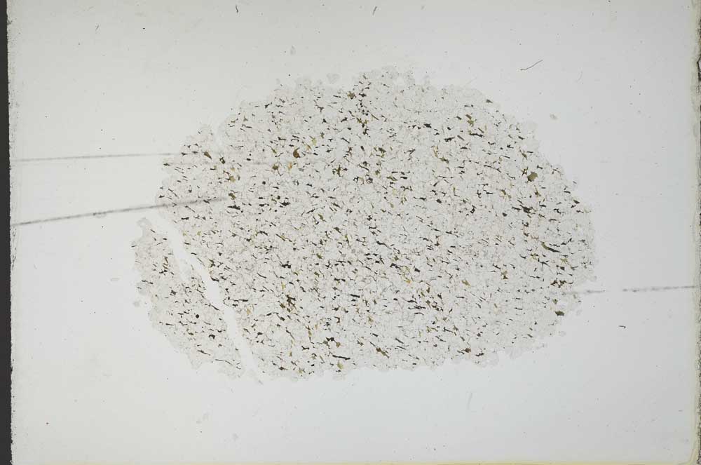 Plane Polarized, S11060