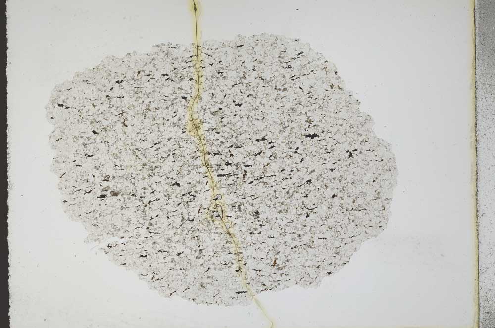 Plane Polarized, S11061