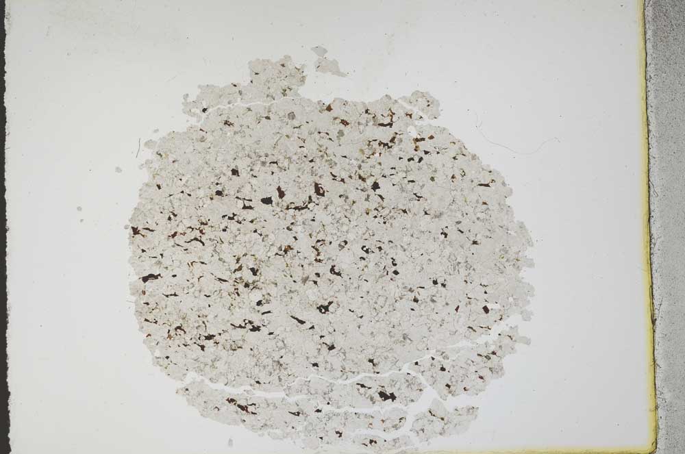 Plane Polarized, S11062