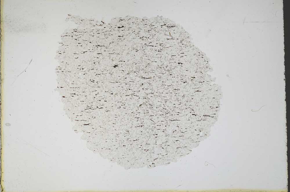 Plane Polarized, S11065