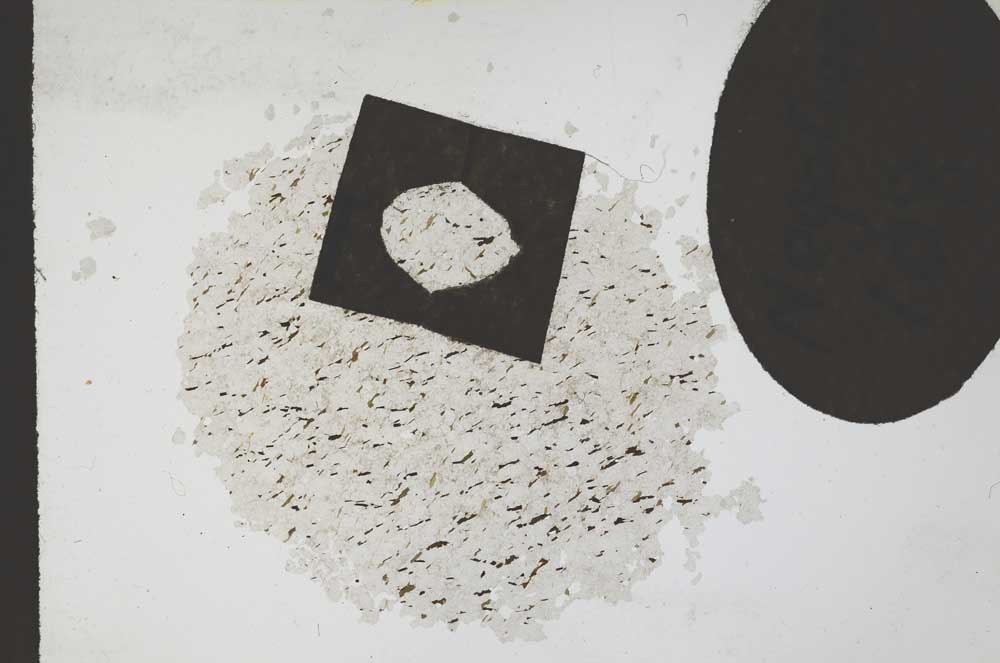 Plane Polarized, S11066