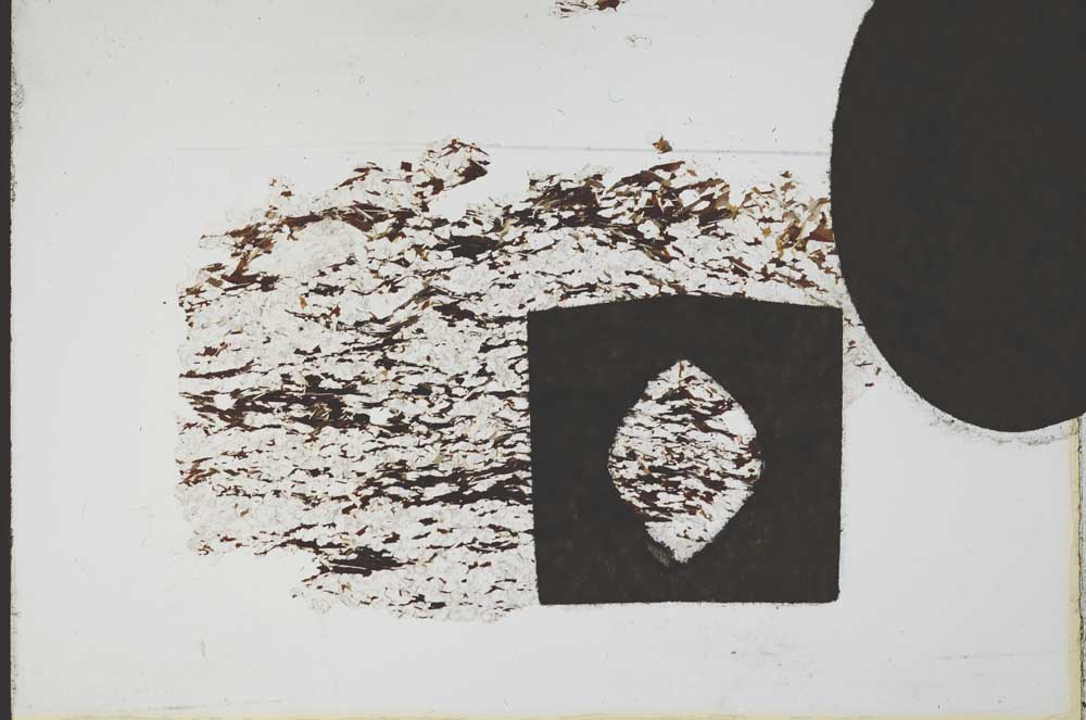Plane Polarized, S11076