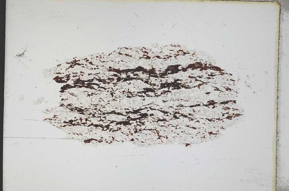 Plane Polarized, S11078