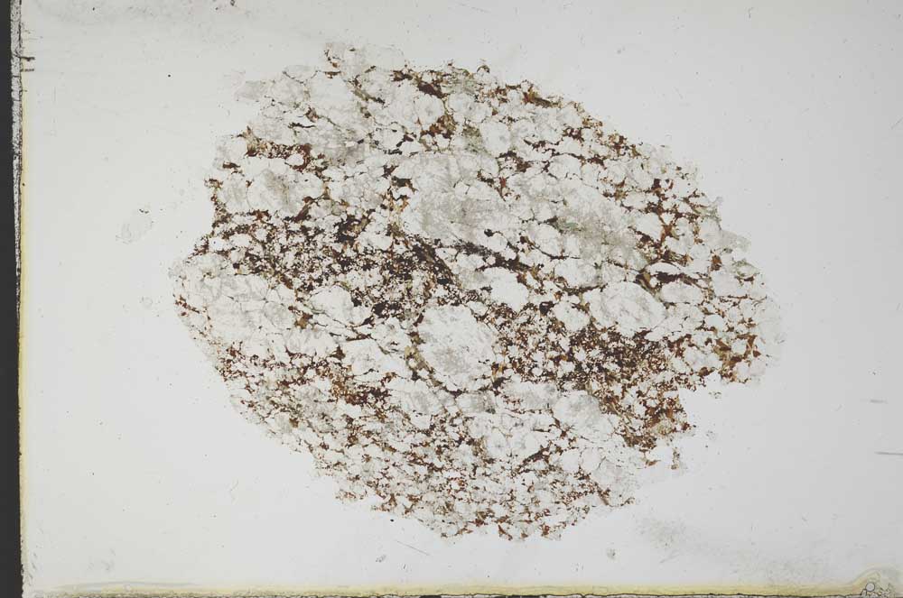 Plane Polarized, S11079