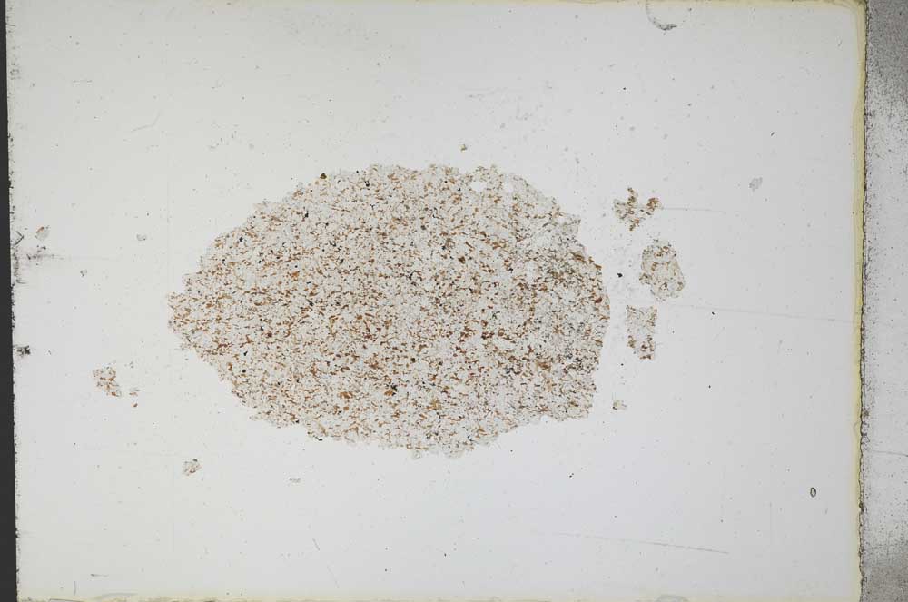 Plane Polarized, S11085