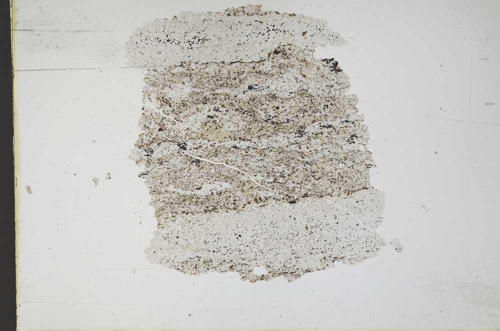 Plane Polarized, S11086