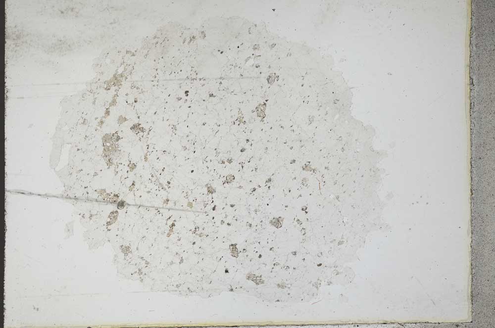 Plane Polarized, S11087