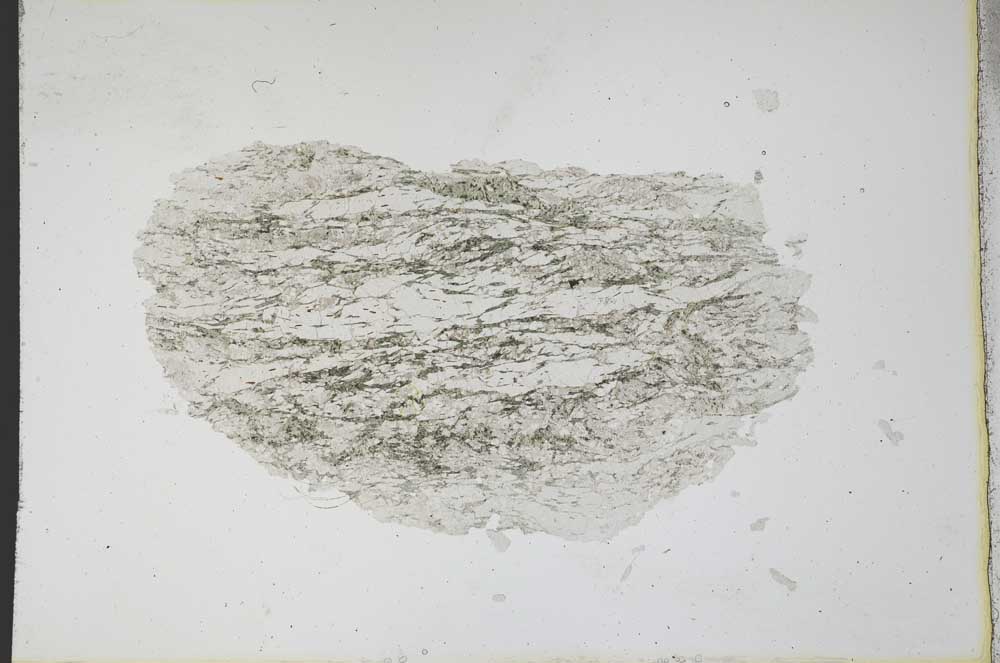 Plane Polarized, S11088