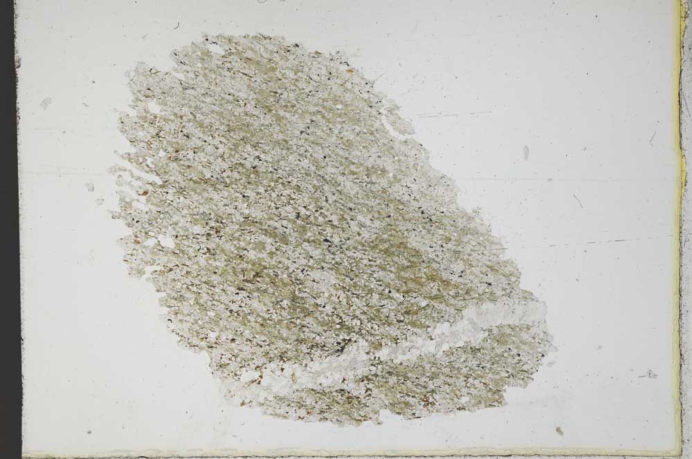 Plane Polarized, S11089