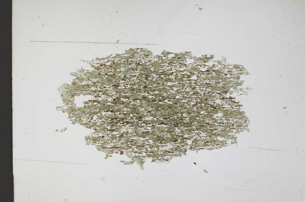 Plane Polarized, S11090