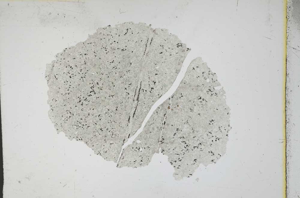 Plane Polarized, S11091