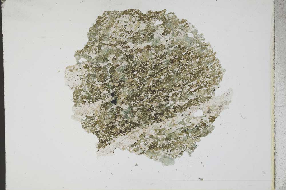 Plane Polarized, S11092