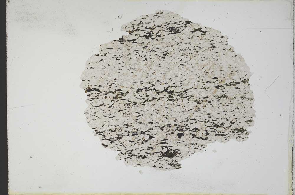 Plane Polarized, S11093