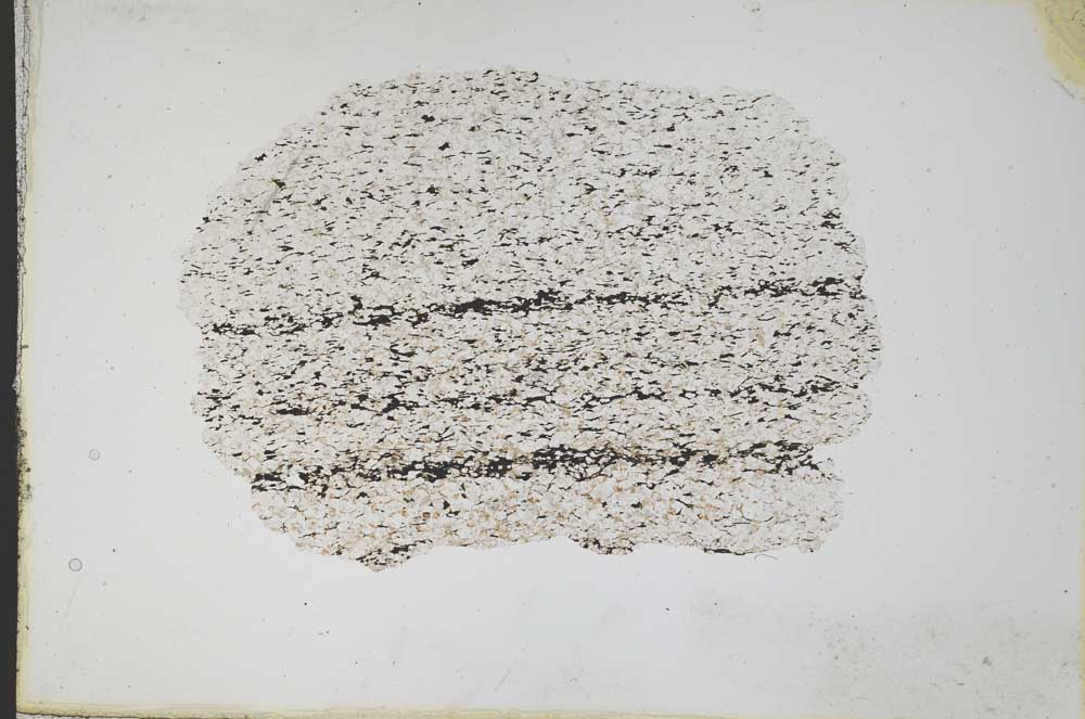 Plane Polarized, S11094