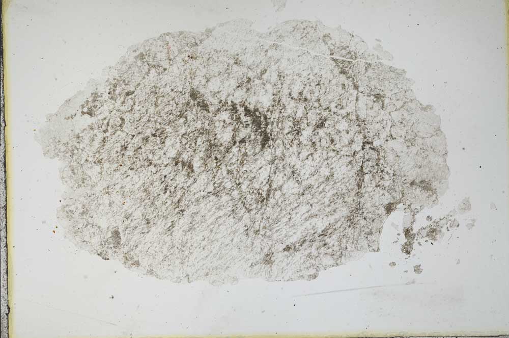 Plane Polarized, S11095