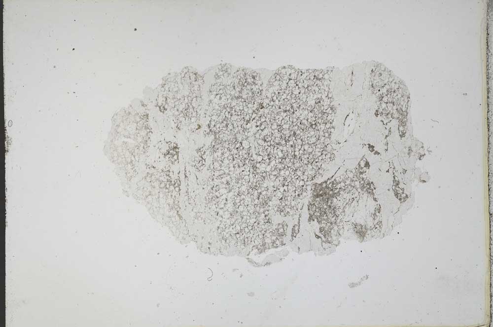 Plane Polarized, S11097