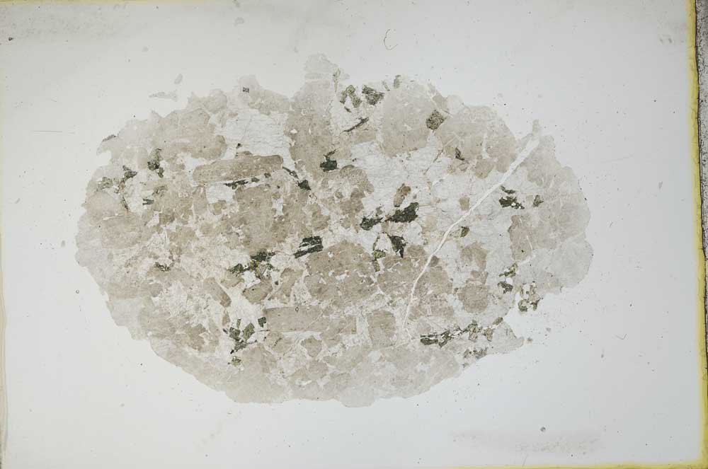 Plane Polarized, S11098