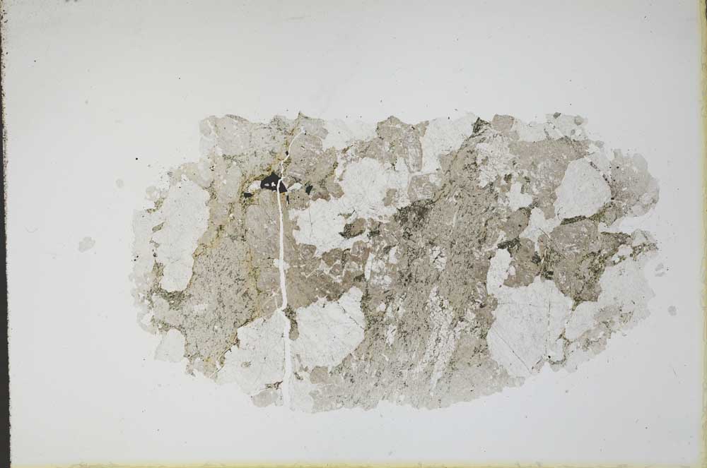 Plane Polarized, S11099