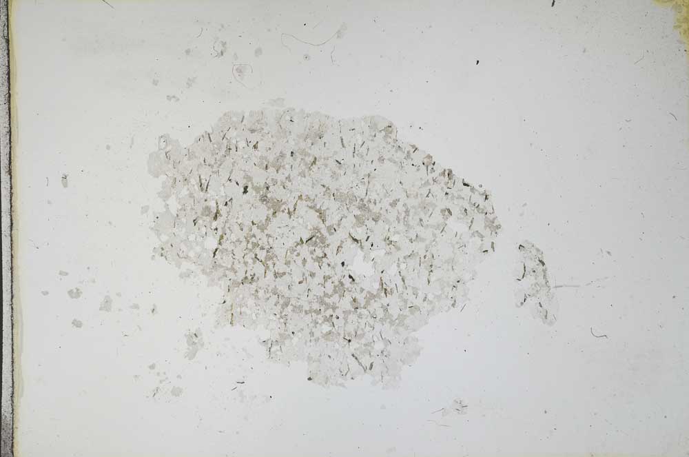 Plane Polarized, S11101