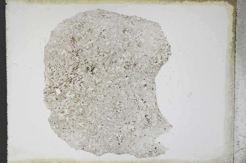 Plane Polarized, S11102