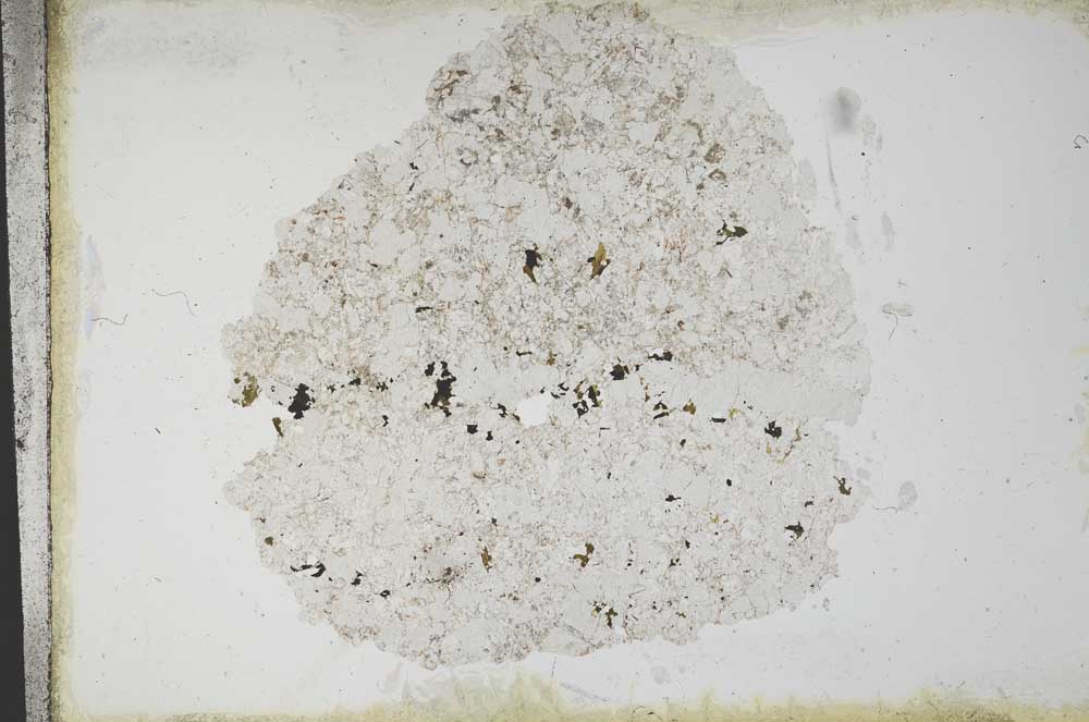 Plane Polarized, S11106