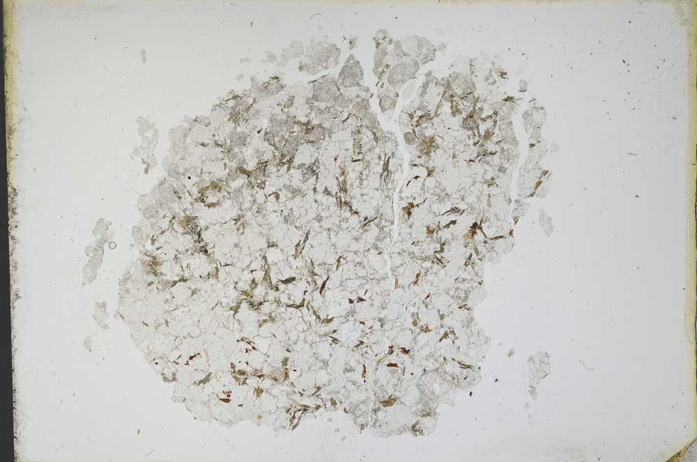 Plane Polarized, S11112