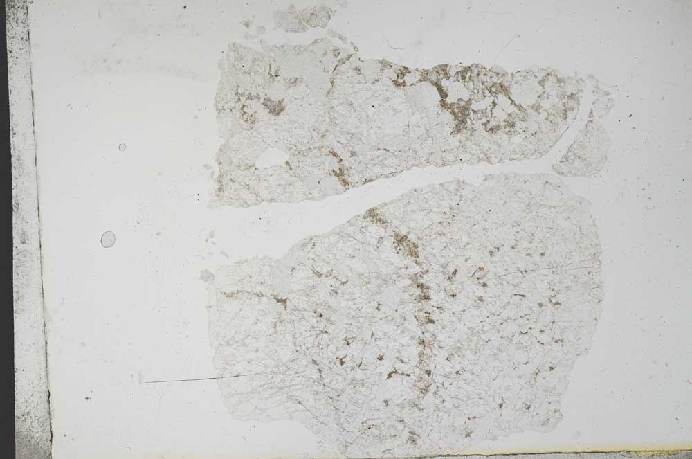 Plane Polarized, S11115