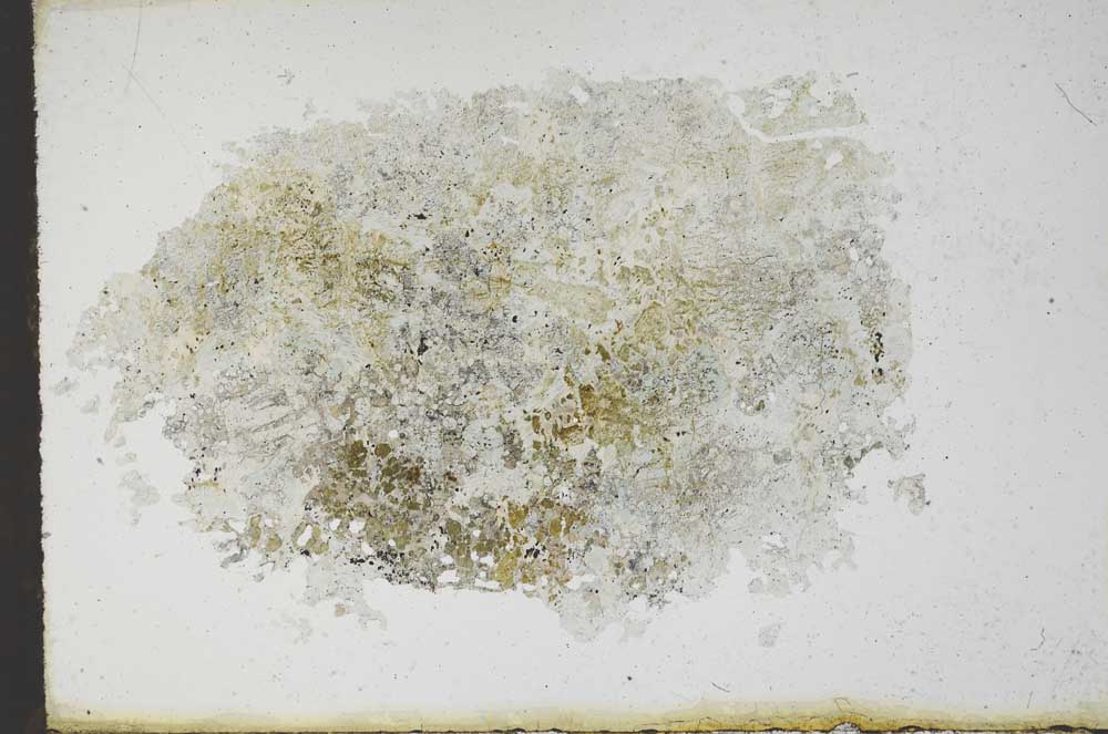 Plane Polarized, S11126/A