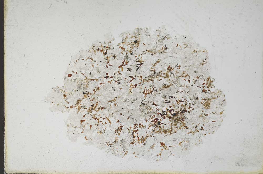 Plane Polarized, S11127