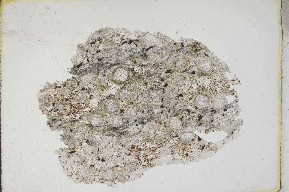 Plane Polarized, S11128/B