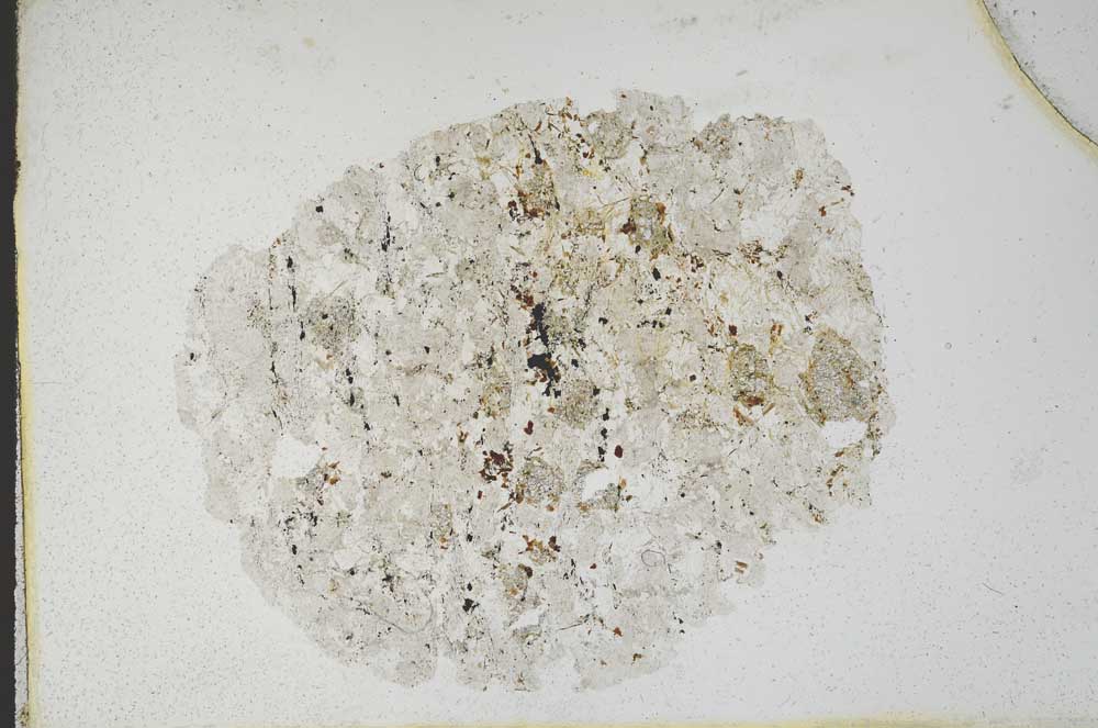 Plane Polarized, S11128/A