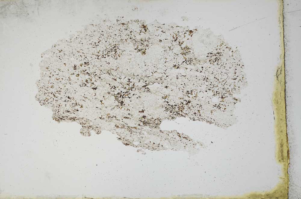 Plane Polarized, S11131