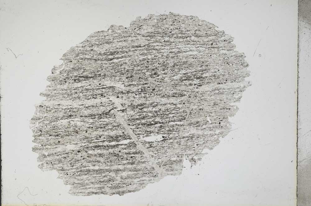 Plane Polarized, S11135