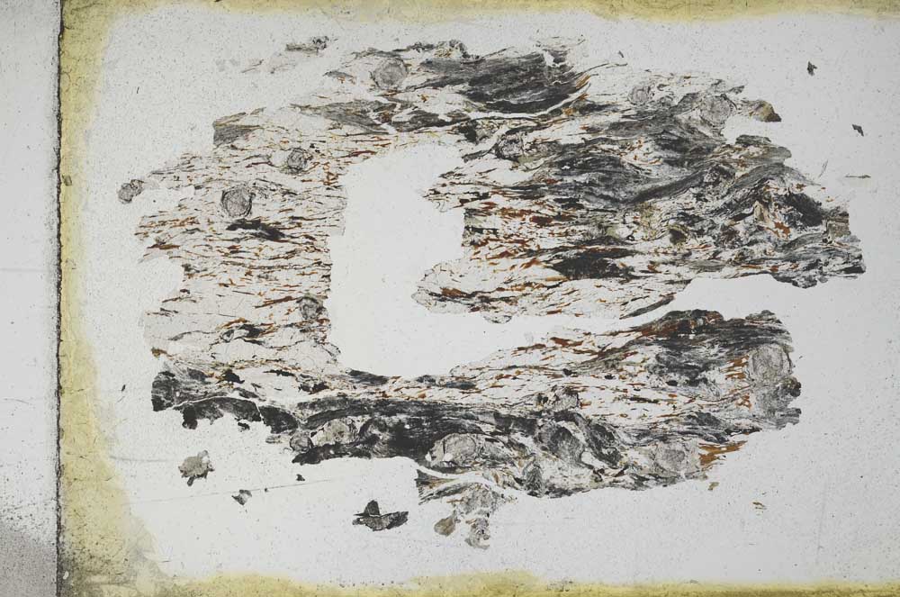 Plane Polarized, S11141