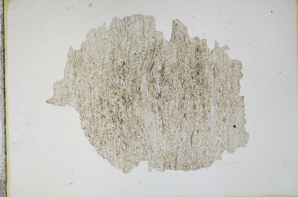 Plane Polarized, S11142