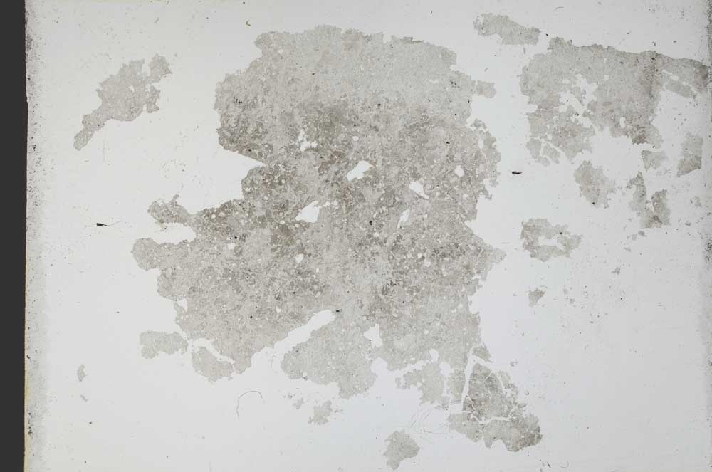 Plane Polarized, S11149
