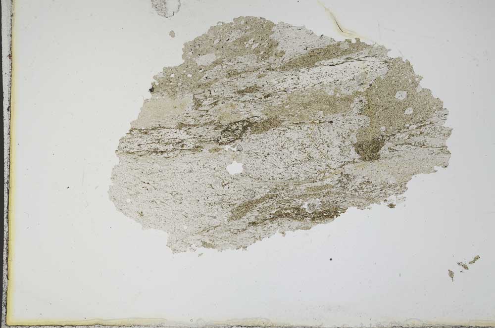 Plane Polarized, S11161