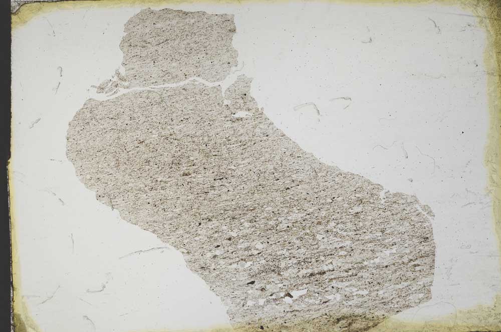 Plane Polarized, S11167