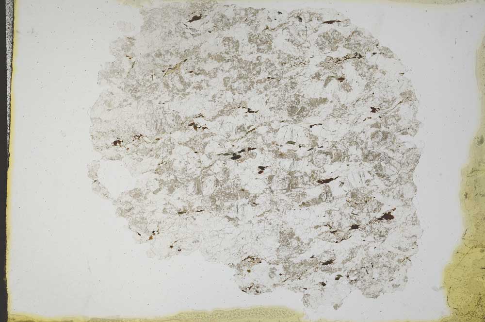 Plane Polarized, S11182