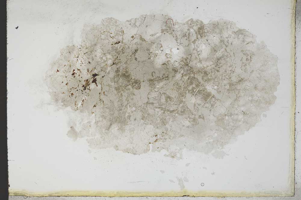 Plane Polarized, S11184