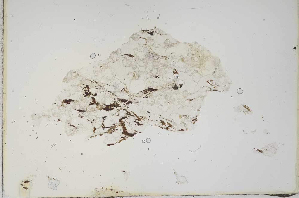 Plane Polarized, S11185