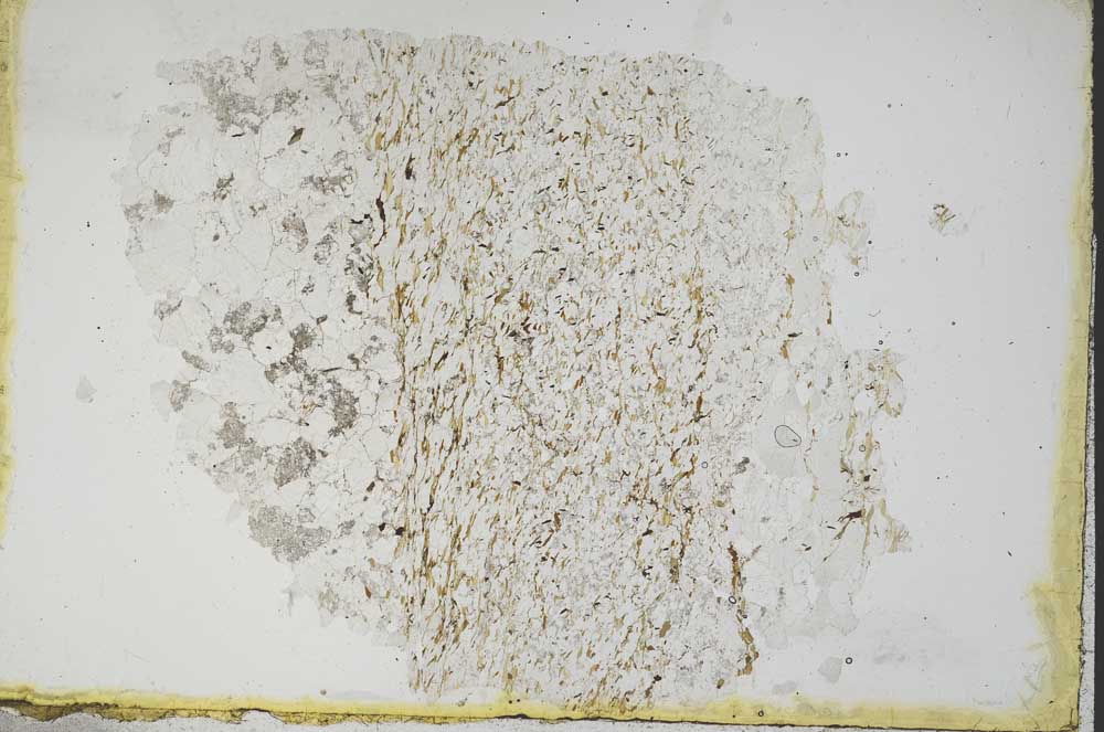 Plane Polarized, S11186