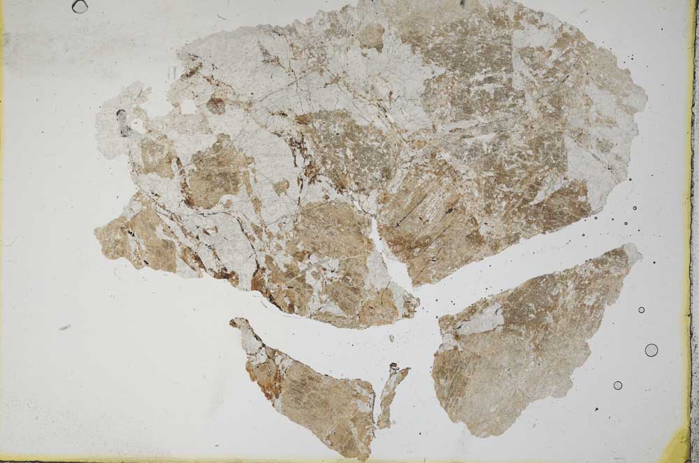 Plane Polarized, S11187