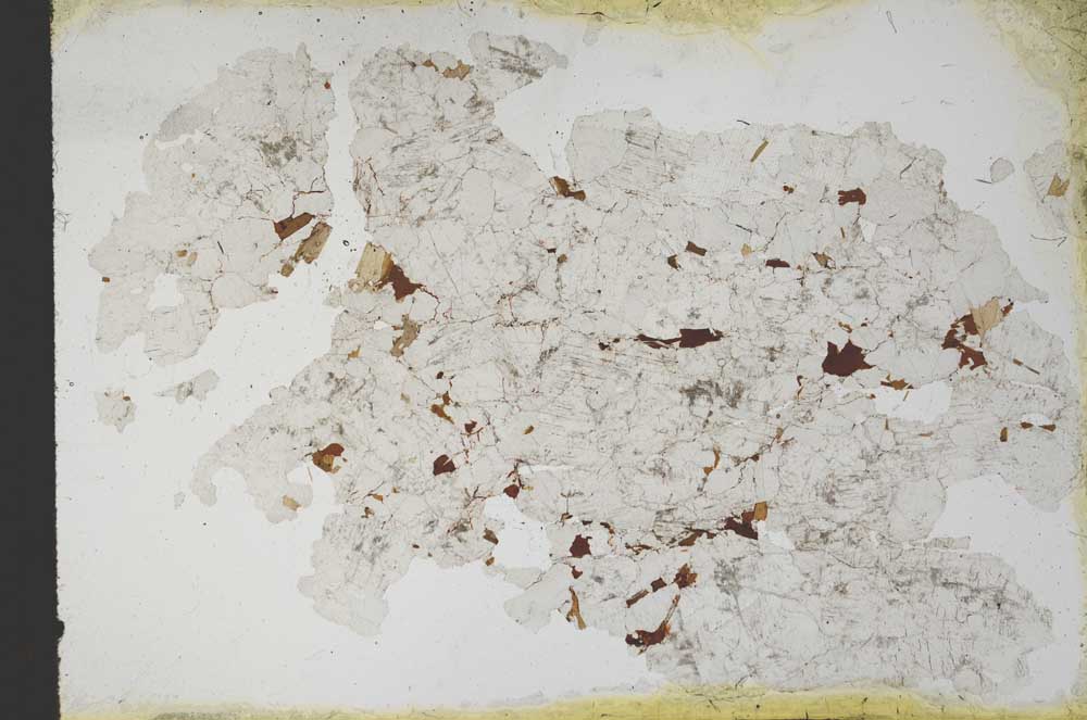 Plane Polarized, S11188