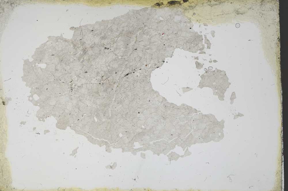 Plane Polarized, S11191