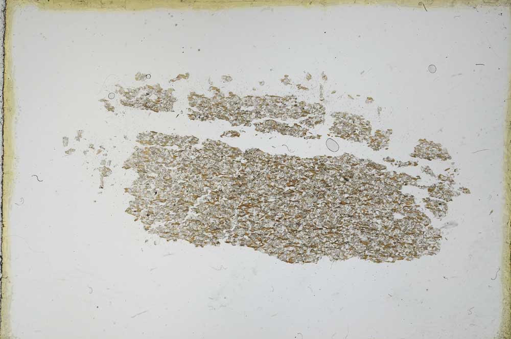 Plane Polarized, S11192