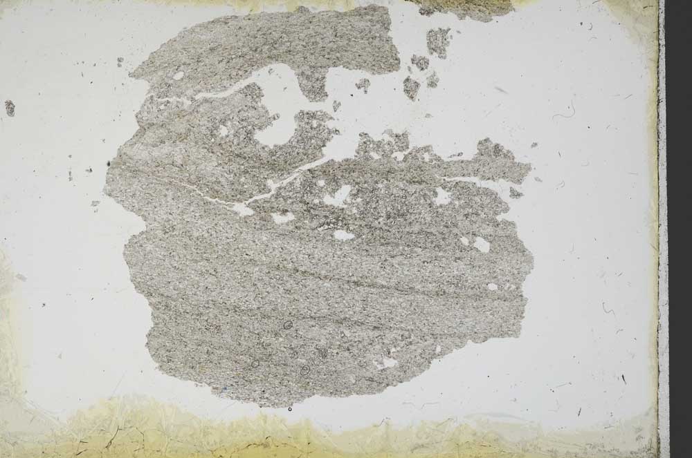 Plane Polarized, S11193