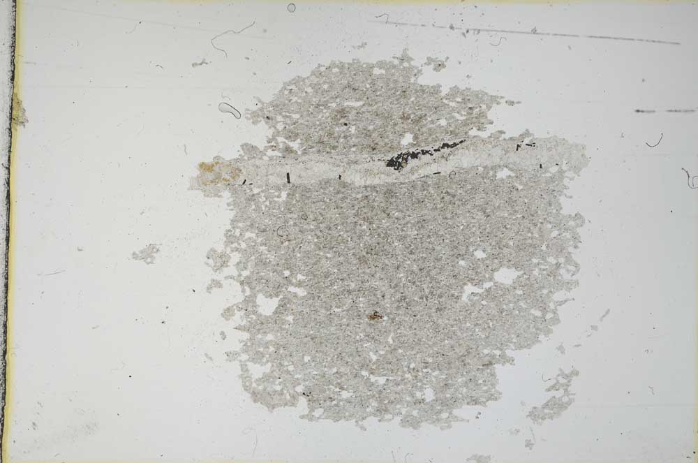 Plane Polarized, S11198