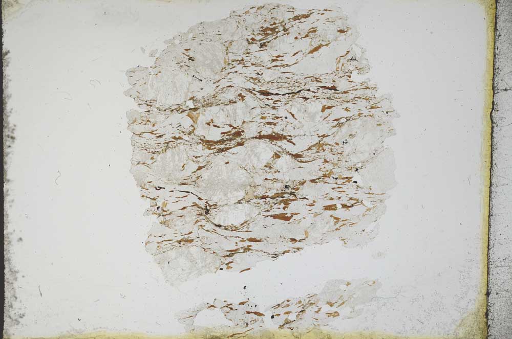 Plane Polarized, S11201