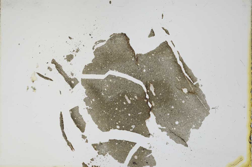 Plane Polarized, S11204